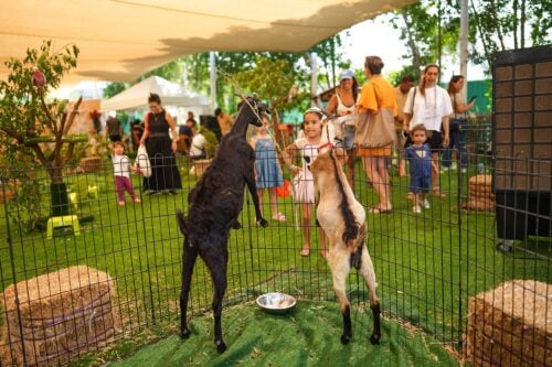 Families enjoying with ther kids at The Ripe Market - Academy Park Dubai.
